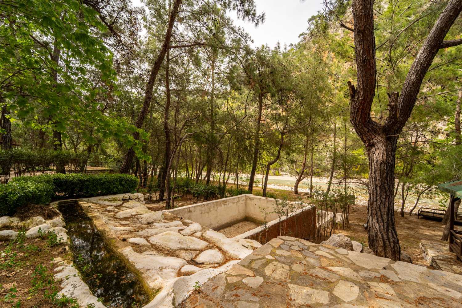 ANTALYA KEMER DOĞANIN KALBİNDE DEVREN KIRALIK 20 DÖNÜM KOMPLEKS TİCARİ İŞLETME - Resim 25