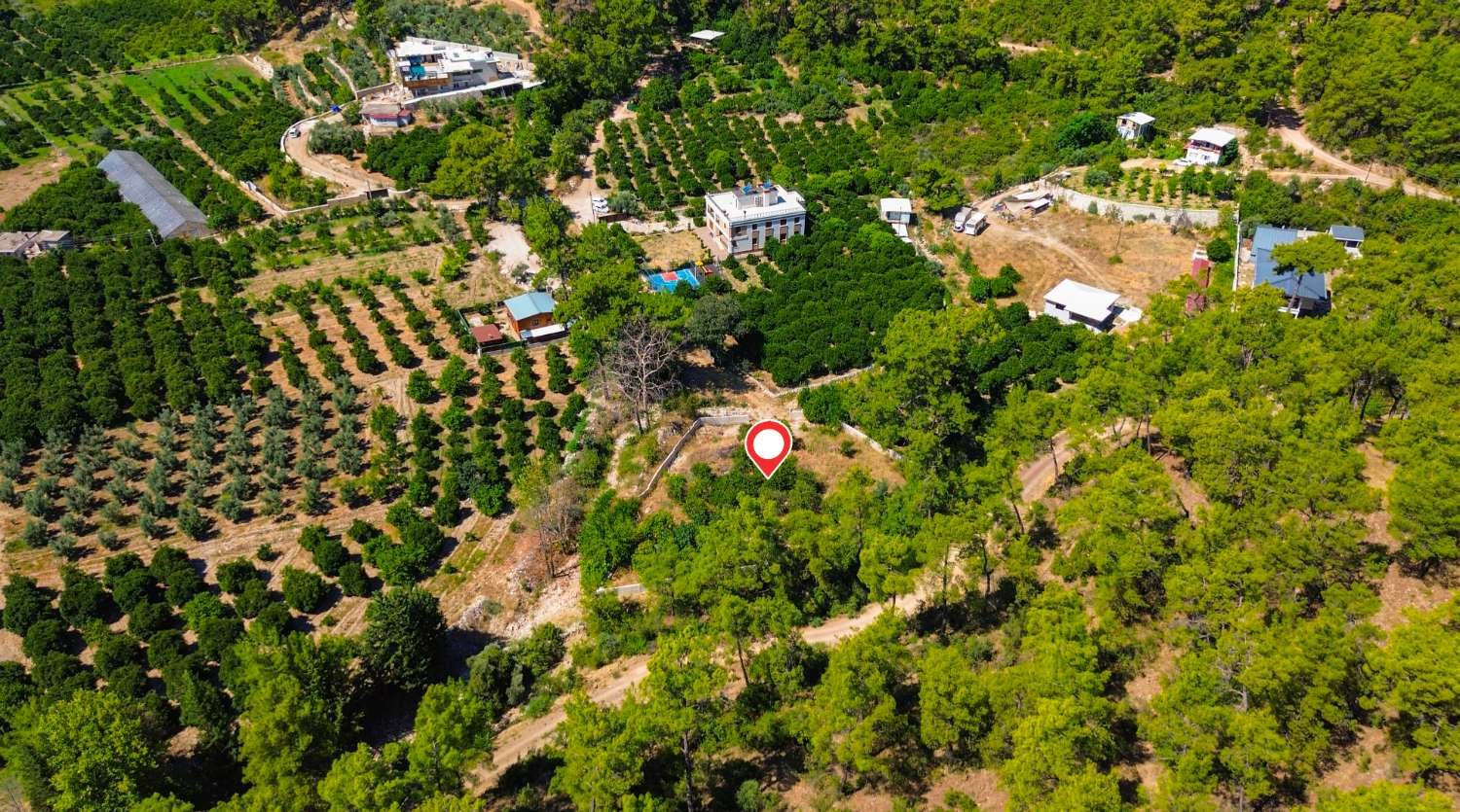 Antalya Konyaaltı Hacısekililer 1114 m² Tek Tapu Satılık Tarla - Resim 2