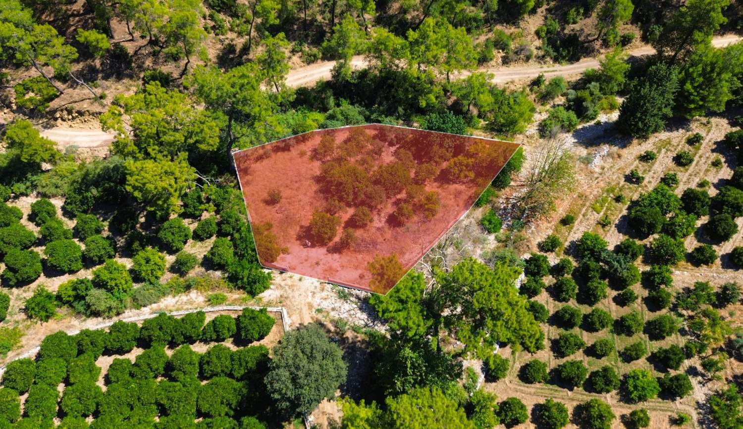 Antalya Konyaaltı Hacısekililer 1114 m² Tek Tapu Satılık Tarla - Resim 6