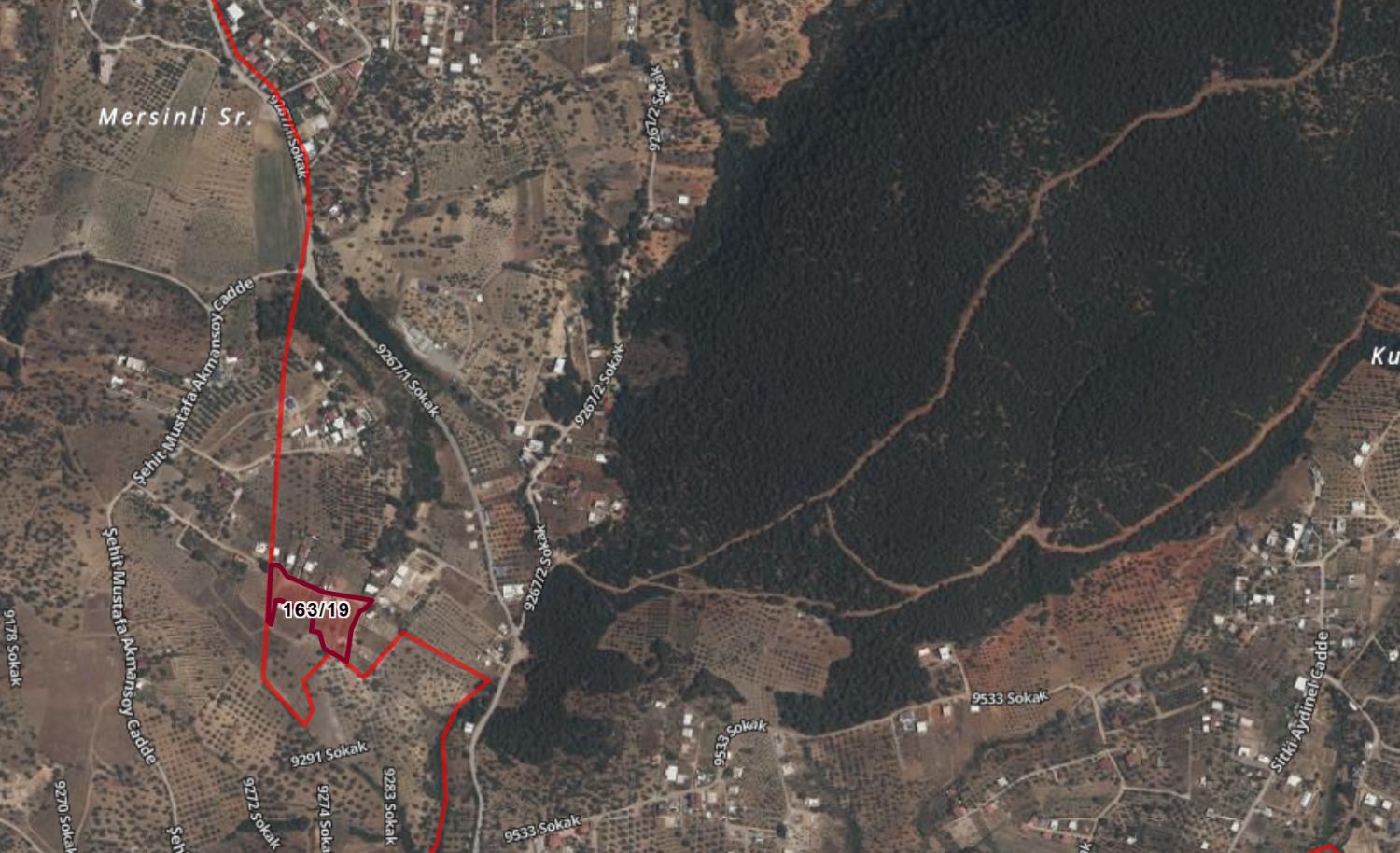 Kemalpaşa Ulucak Damlacık Satılık Tarla | 163 Ada 19 - Resim 3