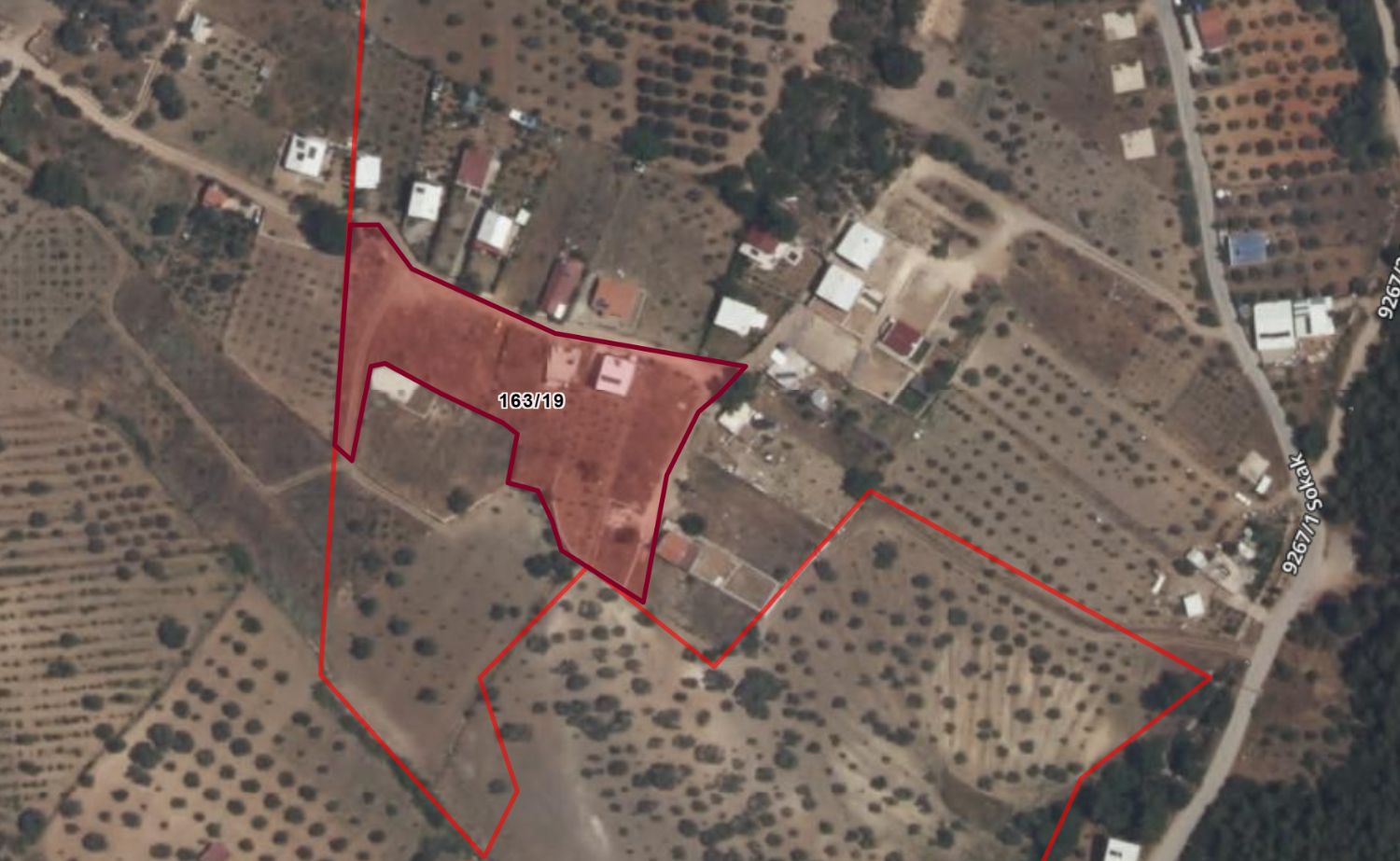 Kemalpaşa Ulucak Damlacık Satılık Tarla | 163 Ada 19 - Resim 2