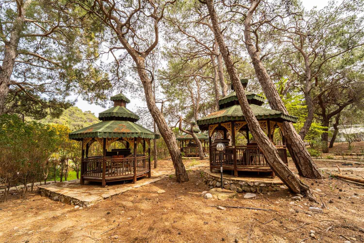 ANTALYA KEMER DOĞANIN KALBİNDE DEVREN KIRALIK 20 DÖNÜM KOMPLEKS TİCARİ İŞLETME - Resim 26