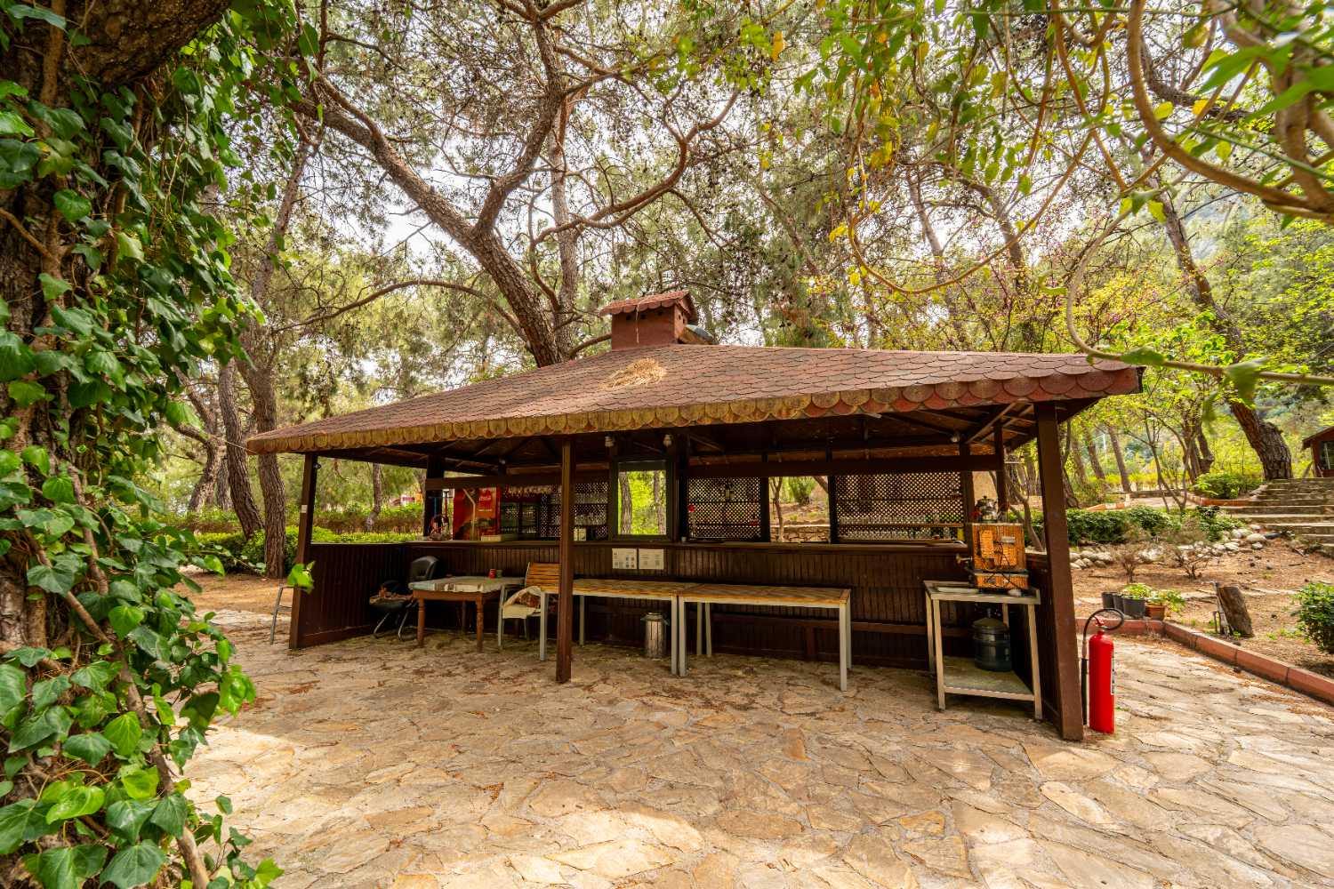 ANTALYA KEMER DOĞANIN KALBİNDE DEVREN KIRALIK 20 DÖNÜM KOMPLEKS TİCARİ İŞLETME - Resim 24